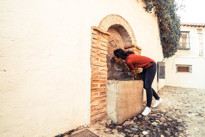 4 neighborhoods 4 cultures. Half day private tour in Granada - A Carmen house and Granada’s private architecture