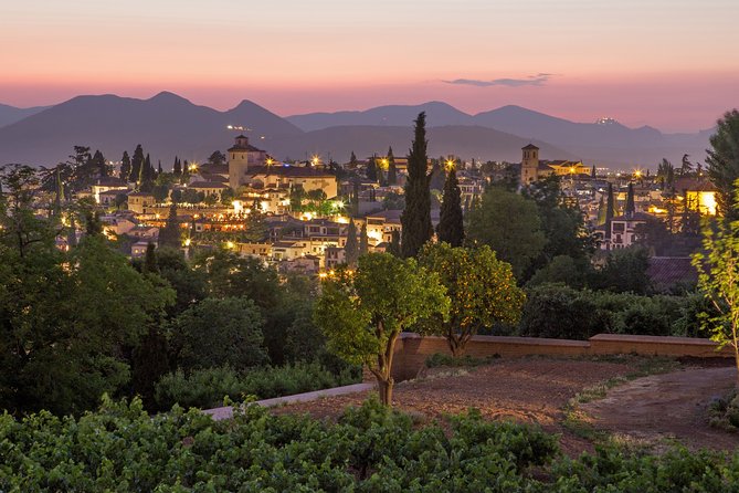 Albaicin and Sacromonte Private Tour - Who will enjoy this private walk?