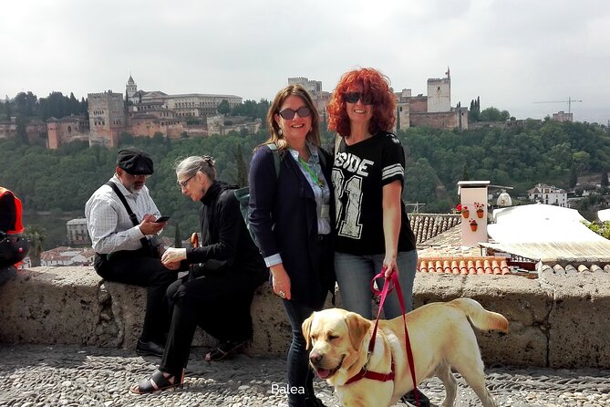 Albaicin guided tour with dogs - Reaching the Mirador de San Nicolás