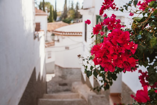 Albaicín & Sacromonte Walking Tour - Albaicín, white houses, and Moorish Granada