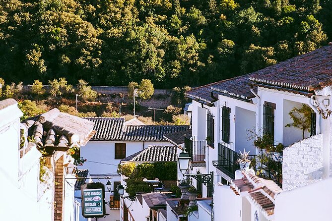 Albayzin and Sacromonte Guided Walking Tour in Granada - What the guides add to the walk