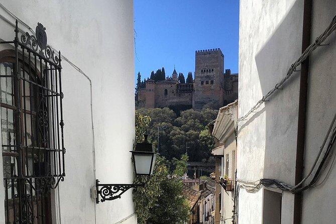 Albayzin and Sacromonte Guided Walking Tour in Granada - Is $16.93 a good price?