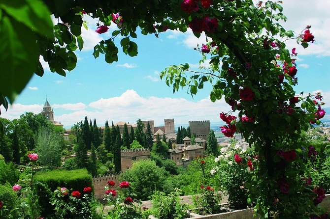 Alhambra and Generalife Skip-the-Line Ticket with Guide - The Nasrid Palaces question