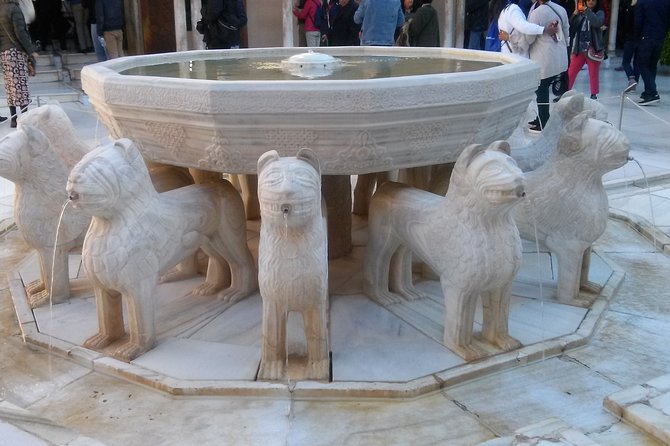 Alhambra and Granada City Center sightseeing tour! - Who will enjoy this private Granada tour?