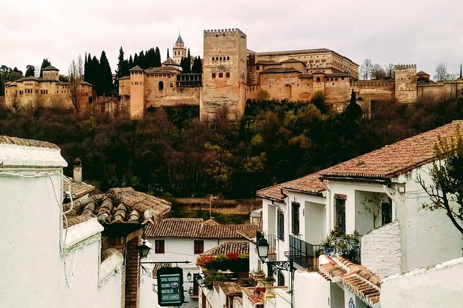 Alhambra and Granada City Center sightseeing tour! - Starting at Plaza Nueva