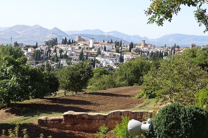 Alhambra and Nasrid Private Walking Tour with Food Tasting - What $290.89 Per Person Buys You