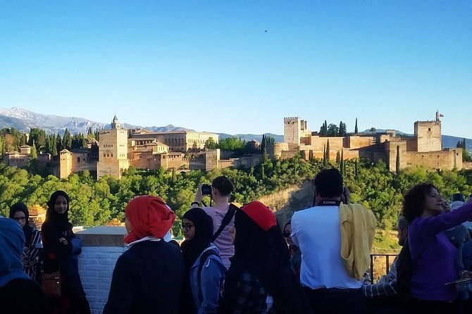 Alhambra &Charles Palace Guided Tour with Optional Nasrid Palaces - The Nasrid Palaces: the essential stop