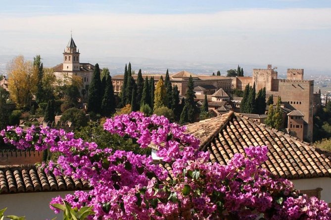 Alhambra &Charles Palace Guided Tour with Optional Nasrid Palaces - The surroundings-only tour has a narrower purpose