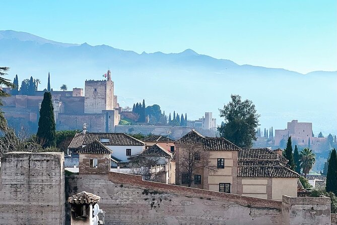 Alhambra Exclusive Tour with Tickets - What the private format adds