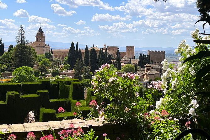 Alhambra Exclusive Tour with Tickets - The guide can shape the whole visit