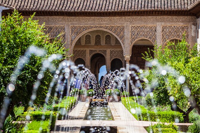 Alhambra : Guided Tour & Ticket Nasrid Palaces Guaranteed - The Palace of Charles V and Granada’s changing identity