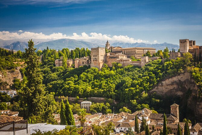 Alhambra : Guided Tour & Ticket Nasrid Palaces Guaranteed - Towers, Medina, and the working Alhambra