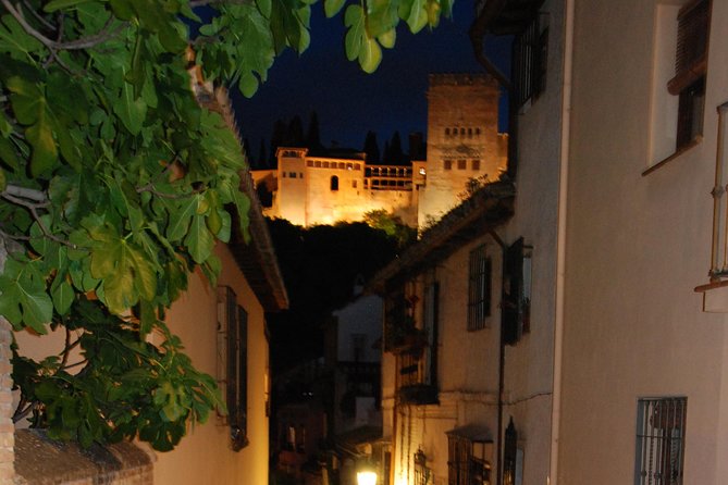 Alhambra: Night Visit to Nasrid Palaces - Who should book this night visit?