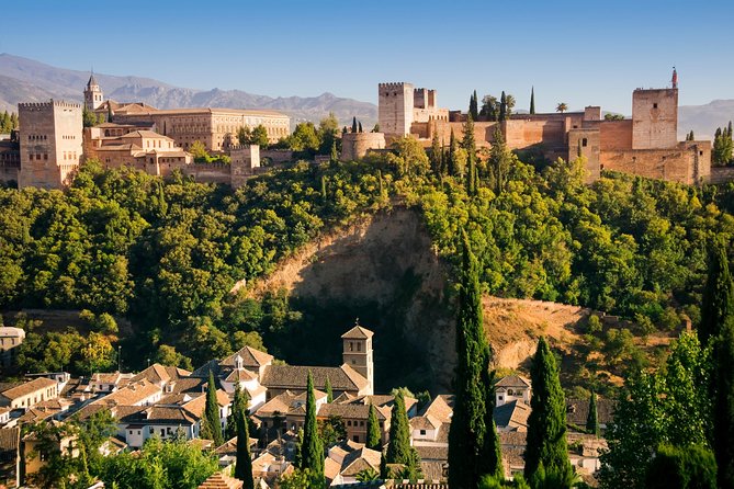 Alhambra Private/Small Group Tour & Nasrid Palaces Skip the Line - Why the Alhambra needs a planned visit