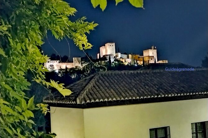 Alhambra Private Tour: Nasrid Palaces and Generalife - Price, tickets, and what you actually receive
