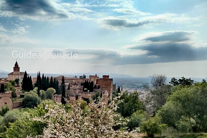 Alhambra Private Tour: Nasrid Palaces and Generalife - Starting at the Generalife ticket office