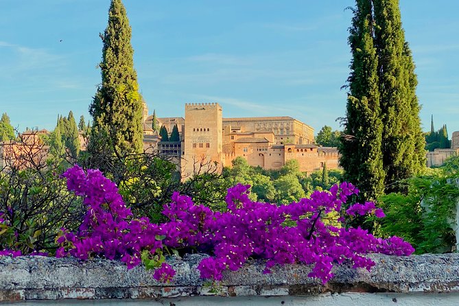 Alhambra Private Tour with Skip-the-line-tickets - Inside the Nasrid Palaces for one hour