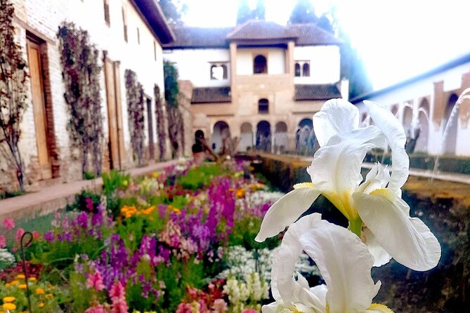 Alhambra Private Tour with Tickets to the Nasrid Palaces - What to bring and how to plan the day