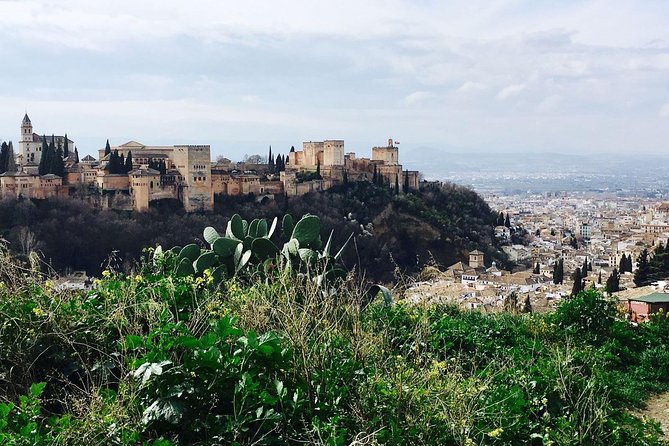 Alhambra private tour (without tickets) total/group Max 15 people - Who will appreciate this Alhambra visit