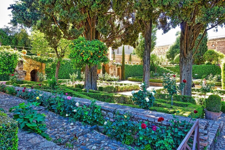 Alhambra's Gardens: Generalife, Partal, Alcazaba, & Carlos V - The Medina and Calle Real