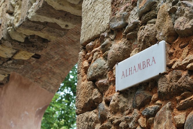 Alhambra Skip-the-Line Guided Tour - Group size, fitness, and the pace of the visit
