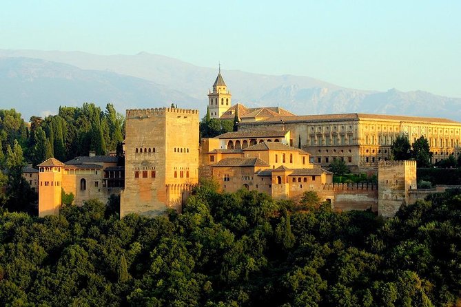 Alhambra Skip-the-Line Guided Tour - The Nasrid Palaces: the heart of the visit