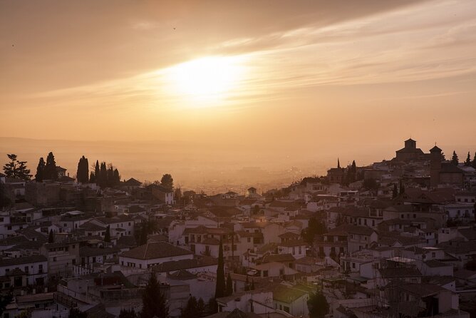 Alhambra with Nazaries Palaces Private Tour - The Nasrid Palaces, the artistic high point