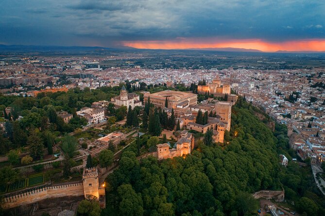 Alhambra with Nazaries Palaces Private Tour - The pace, guides, and private format