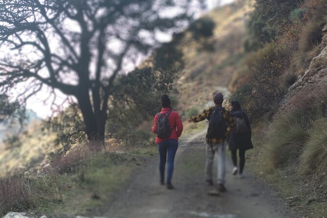 Alpujarra Private DayTrip from Granada - Capilerilla at 4,711 feet: a short walk into mountain life