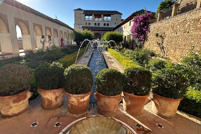 Arabic Private tour Alhambra (Not Included Ticket ) - Mohamed’s guiding style and what it adds