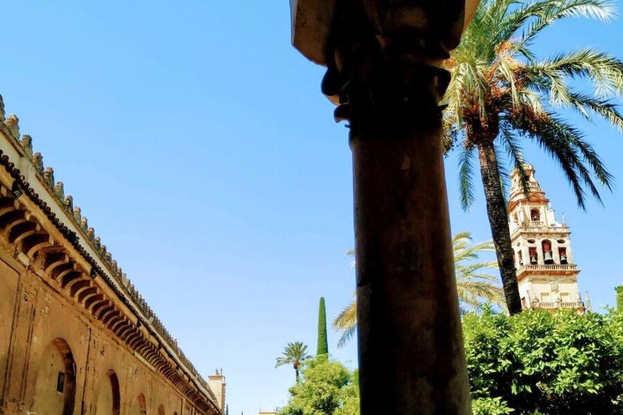 Cordoba Highlights Full-Day Tour from Granada - The Mosque-Cathedral and its forest of arches