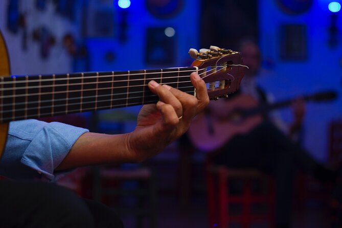 Flamenco Show in the Caves of Sacromonte - Is $33.61 a fair price?