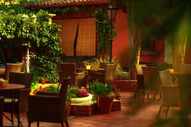 Flamenco Show Ticket at tablao Jardines de Zoraya Granada - Is $30.25 good value?