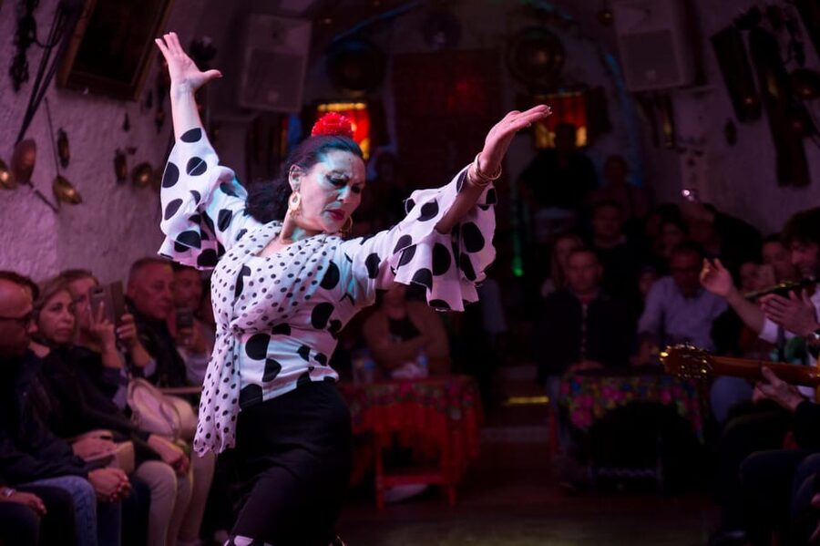 Flamenco Show: Zambra in Cuevas del Sacromonte - The performers and the mood