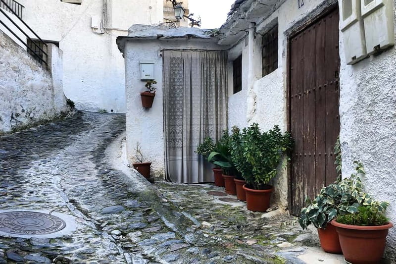 From Granada: Alpujarra Mountain Villages Tour - Pampaneira and the white villages of the Poqueira Valley