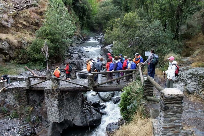 From Granada: Alpujarra Mountain Villages Tour - Transport, group size, and the mountain roads