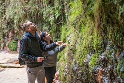 Alpujarra Villages Guided Day Tour