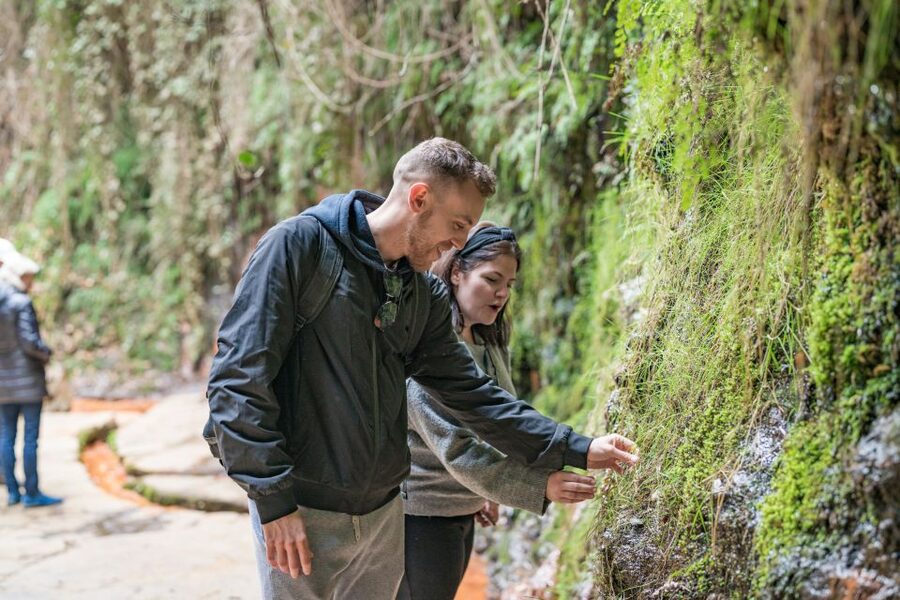 From Granada: Alpujarra Villages Guided Day Tour - Pampaneira, the main village visit