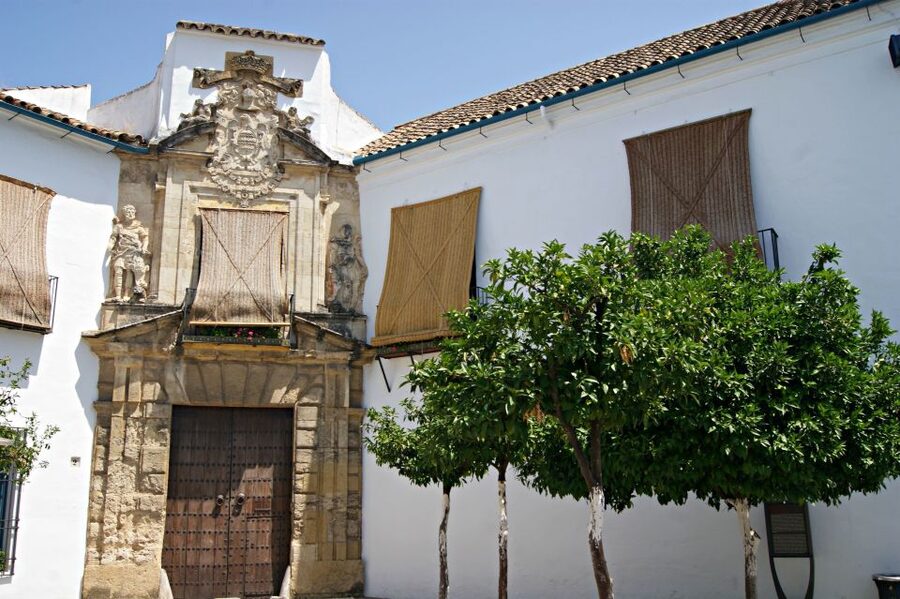From Granada: Córdoba Day Trip with Mezquita Guided Tour - Key points to know before booking