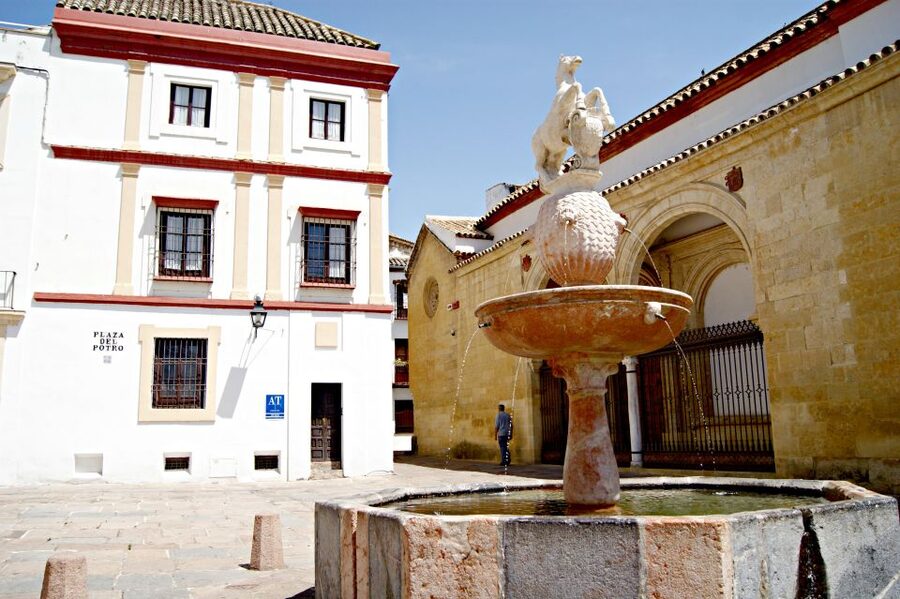 From Granada: Córdoba Day Trip with Mezquita Guided Tour - Who will enjoy this day trip most