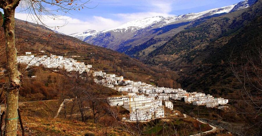 From Granada: Day Trip to Trevélez with Ham Factory - Key points to know before booking