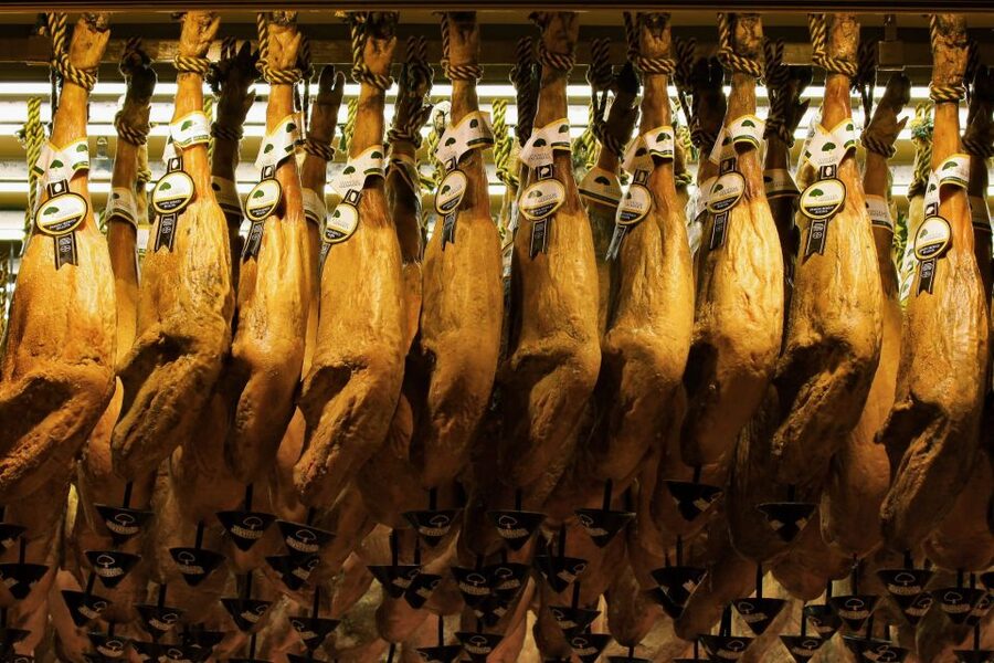 From Granada: Day Trip to Trevélez with Ham Factory - Guides, driving, and the small-group format