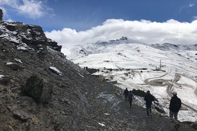 From Granada: Sierra Nevada Safari tour up to 2500 meters high - How Much Value Do You Get for $102.79?