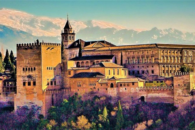 Full Alhambra tour with preferential access (SPANISH language) - Why a guided Alhambra visit earns its keep
