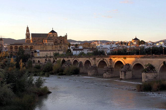 Full-Day Cordoba Tour from Granada: Mezquita Visit Included - Entering the Mezquita-Cathedral