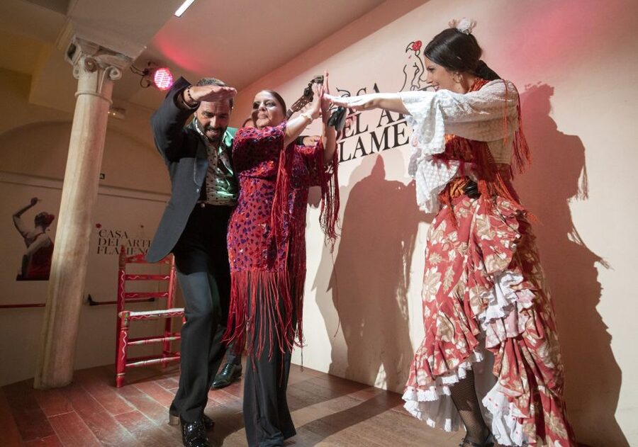 Granada: 1-Hour Traditional Flamenco Show - What happens during the performance
