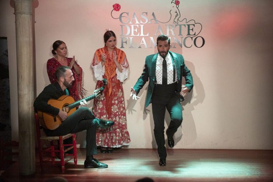 Granada: 1-Hour Traditional Flamenco Show - The house, seating, and atmosphere