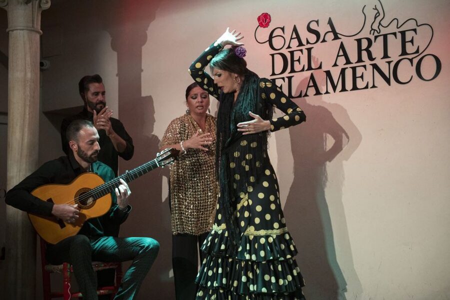 Granada: 1-Hour Traditional Flamenco Show - Practical tips for making the evening better