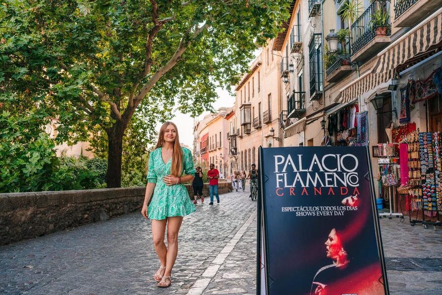 Granada: 1-Hour Traditional Flamenco Show at Palacio - What happens during the one-hour performance