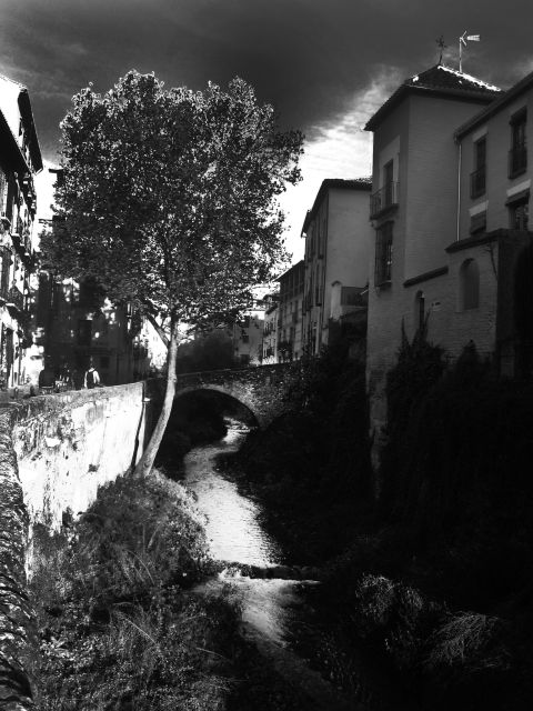 Granada Albaicín: 2.5-Hour Tapas & Drinks Walking Tour - Booking advice and final verdict